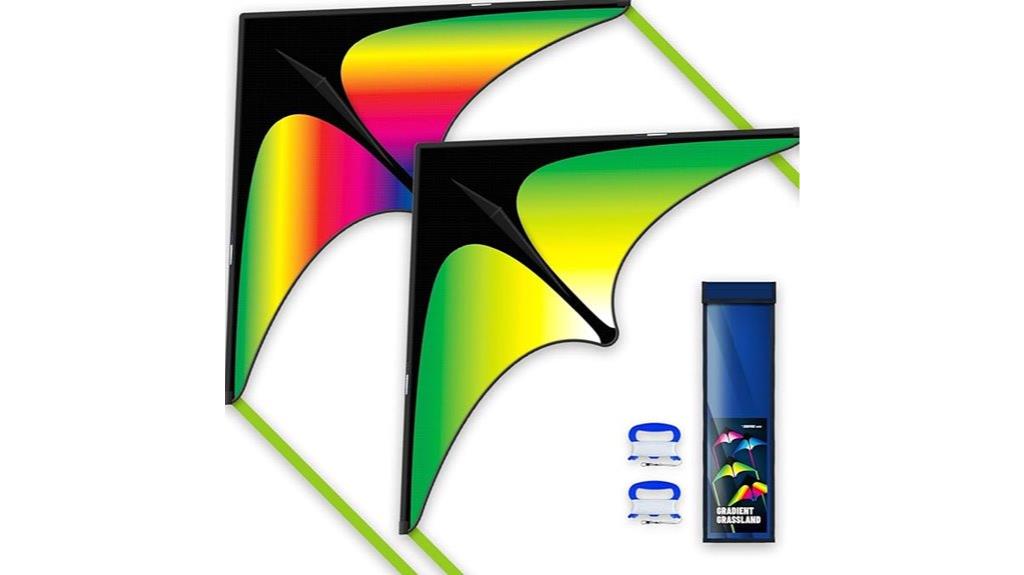 kids and adults kite set