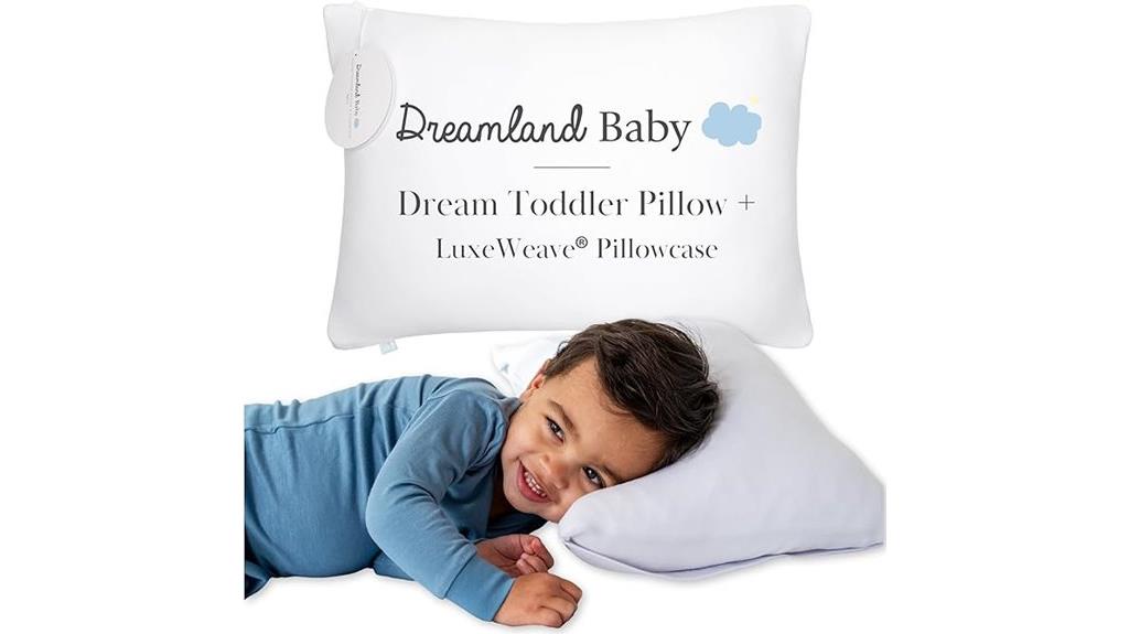toddler pillow with cover