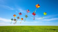 top beginner kite choices