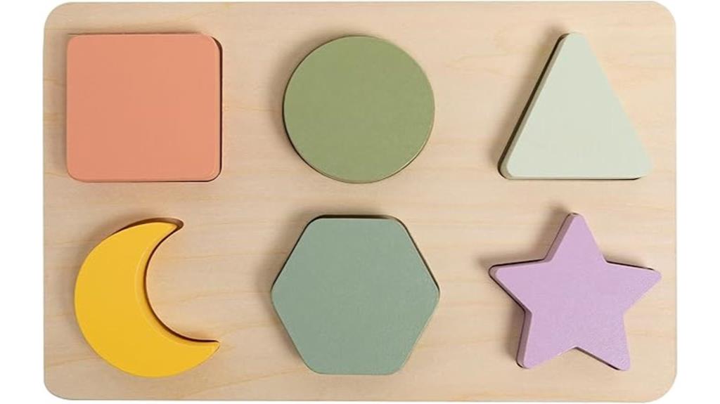 wooden shapes puzzle toy