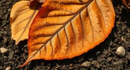 earth inspired creative expressions