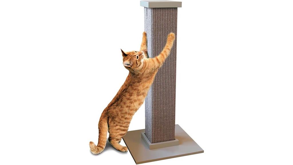 gray 32 inch scratching post