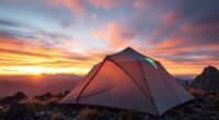 lightweight backpacking tent options