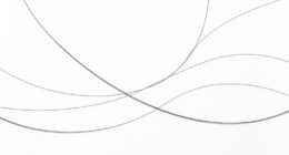 line and curve focus