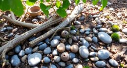 outdoor play safety tips