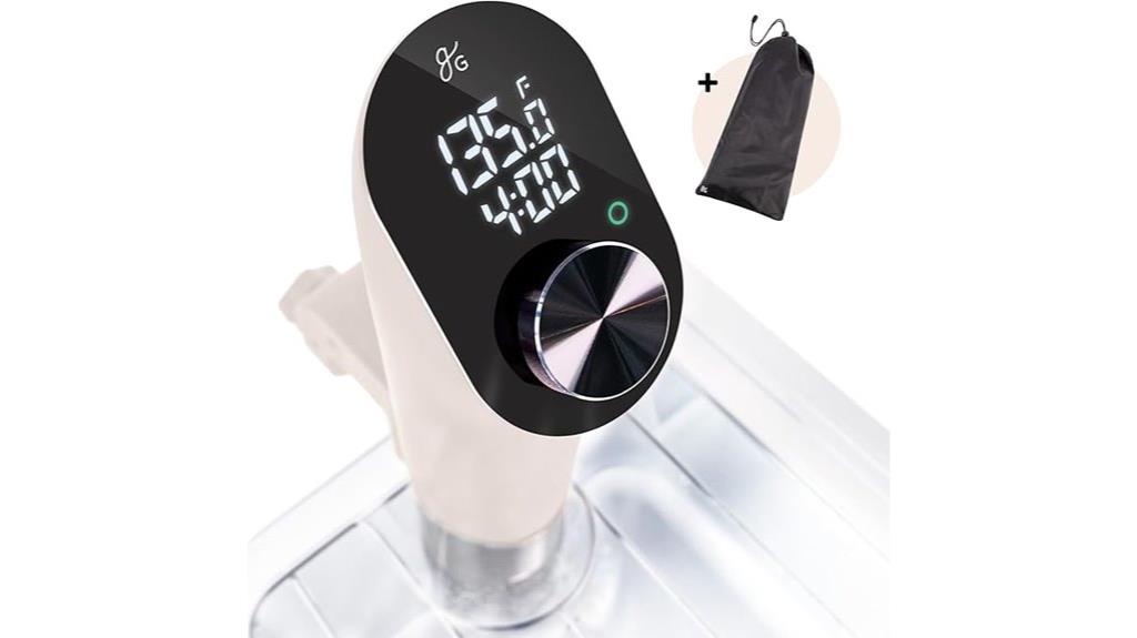 precision immersion circulator