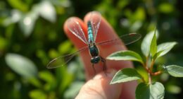 respectful bug testing