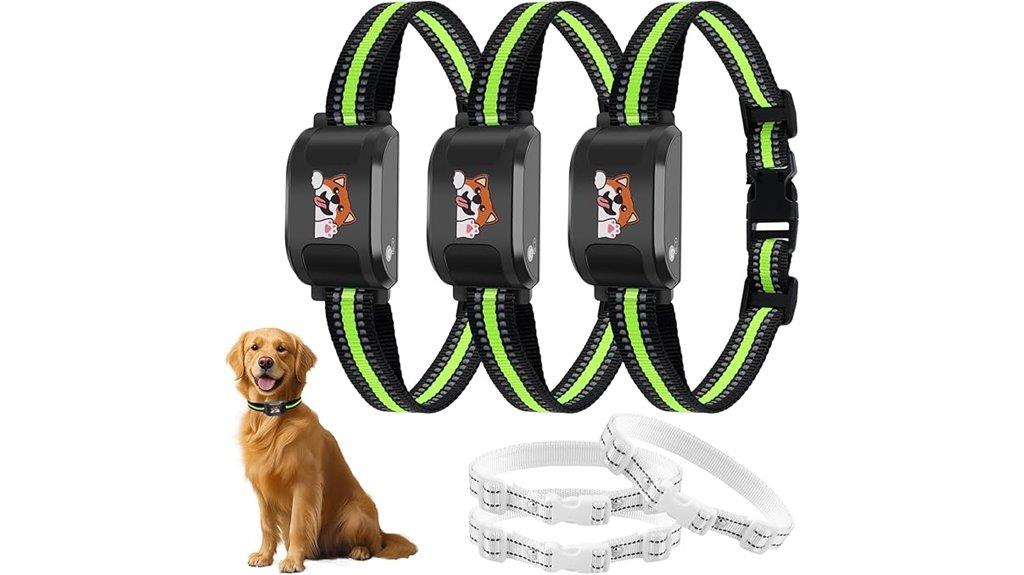 wireless dog fence set