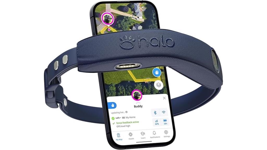 wireless dog fence system