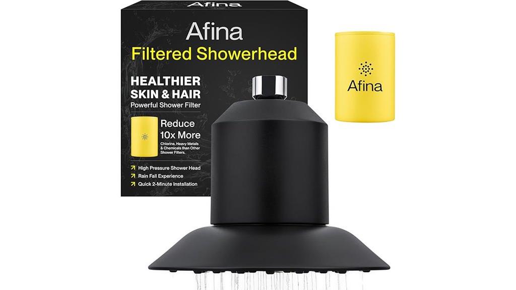 filtered shower head system