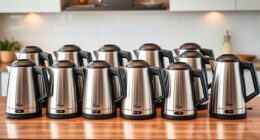 top electric kettles with temp