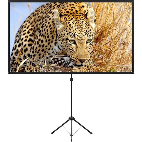 large outdoor portable screen
