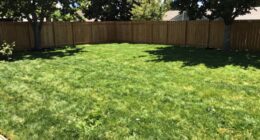 assess space before purchasing