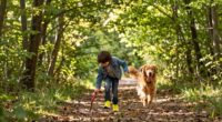 transform walks into play