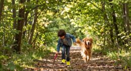 transform walks into play