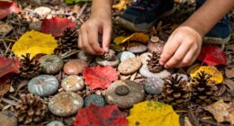 transforming natural objects creatively