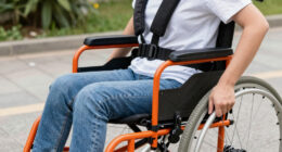13 Best Dog Mobility Aids for Safer Senior Dog Support in 2026