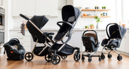 Top UPPAbaby / Nuna Bassinet Accessories for 2026