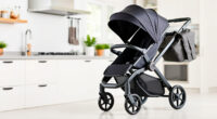 UPPAbaby Vista V2 vs Nuna MIXX: Which Stroller Fits Your Family?