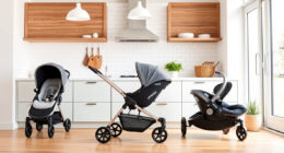 Top Stroller & Car Seat Picks: UPPAbaby & Nuna Reviews