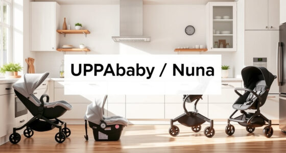 Is the UPPAbaby / Nuna Vista V2 Worth It? Honest Review