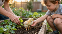 ‘Chickie Chickie In The Garden’ Invites Little Ones To Learn And Explore
